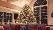 How to Make Christmas 2020 Tree at Home: From Trimming & Decorating to Tips on Keeping It Fresh, Everything to Know About Having a Xmas Tree This Holiday Season