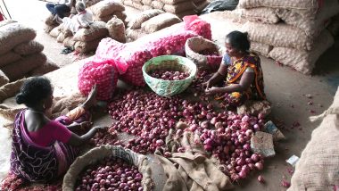 Onion Prices Shoot Up to Rs 165 Per Kg; Govt Says Imported Onions to Arrive by January 20