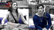 Bigg Boss 13 Episode 51 Sneak Peek | 10 December 2019: Asim Riaz and Shefali Jariwala Part Ways