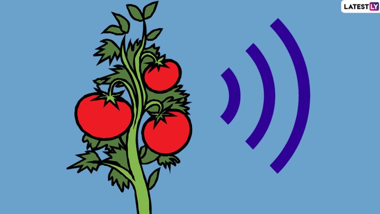 Do Plants Feel Pain? Plants Make Ultrasonic 'Screams' When in Stress or Pain, New Research Says