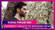 Kushal Punjabi, Well Known Actor Commits Suicide: Film Fraternity Reacts To Shocking News