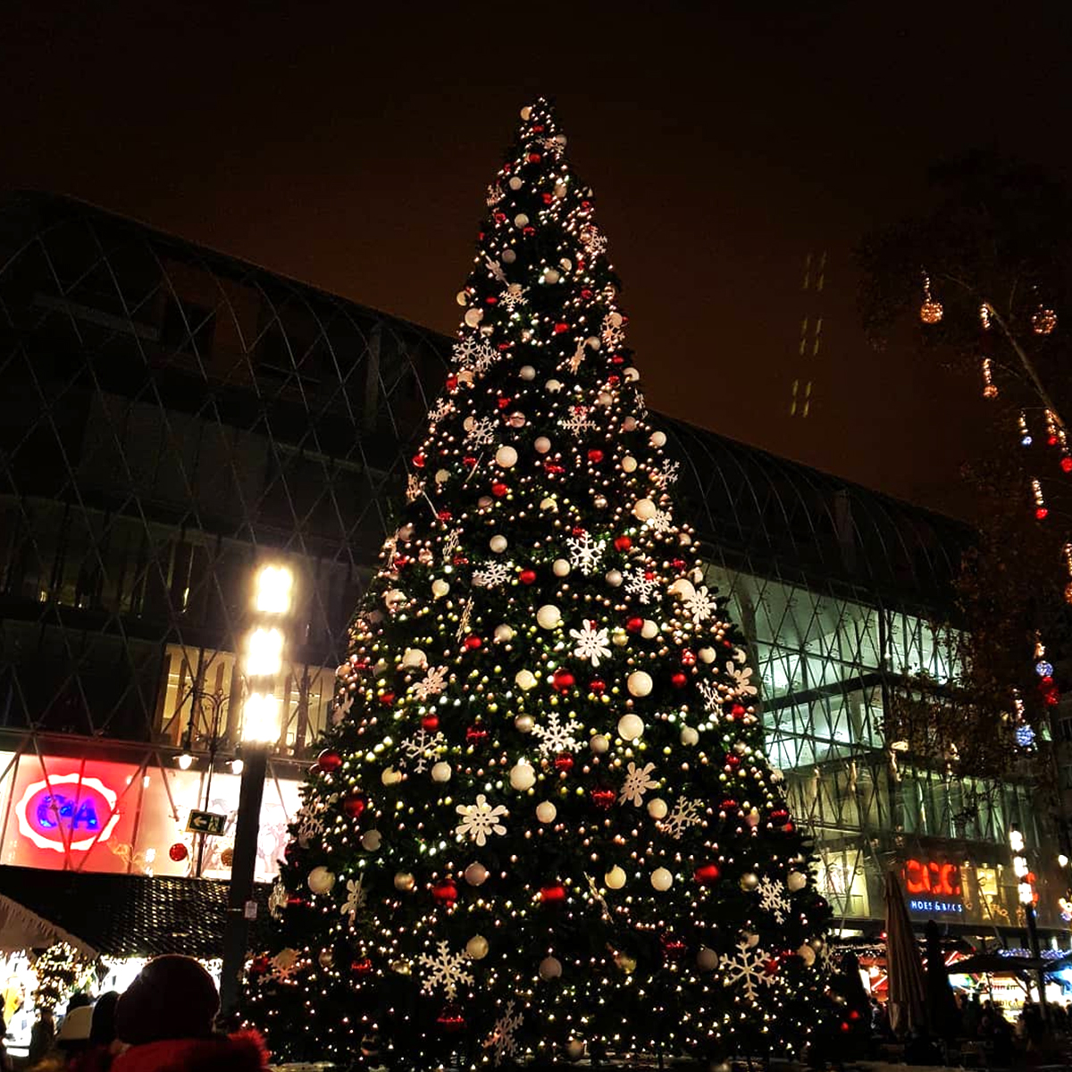 Giant Christmas Tree | Tis the Season! Mesmerising Christmas Tree Pics ...