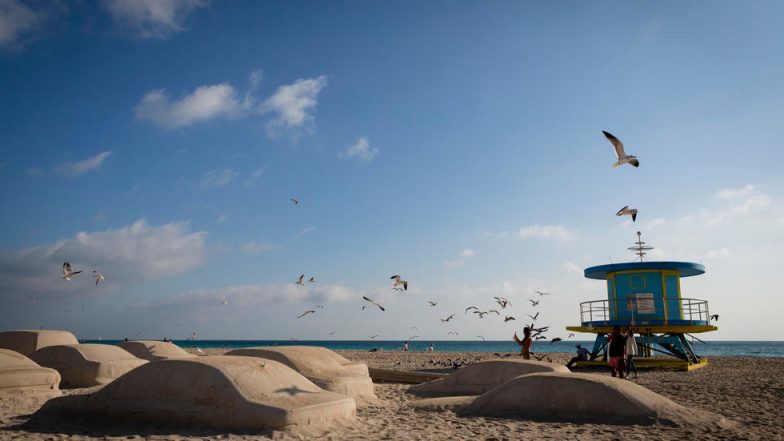 Miami's Art Basel Festival Sees Sand Cars Instead of Sand Castles to Raise Awareness About Climate (View Pics)