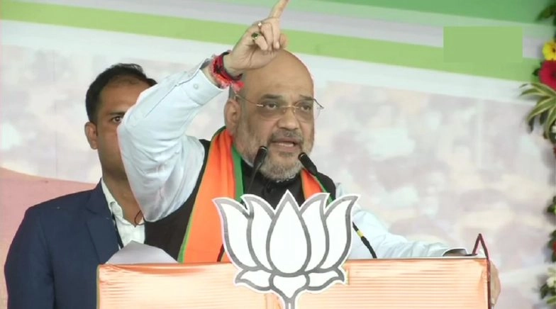 Amit Shah Interview by ANI Live Streaming: Watch Home Minister Speaking on NPR, NRC & CAA