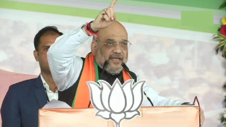 Amit Shah Interview by ANI Live Streaming: Watch Home Minister Speaking on NPR, NRC & CAA