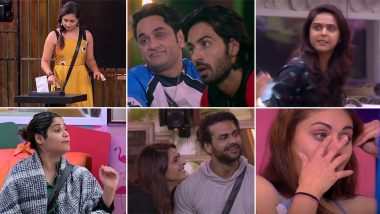 Bigg Boss 13 Day 65 Highlights: Shefali Jariwala Sobs Due to Asim Riaz, Mastermind Vikas Gupta Adds Fuel to the Fire During the Captaincy Task and More Drama!