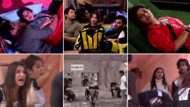 Bigg Boss 13 Day 79 Highlights: Shehnaaz Gill Gets Pissed With Sidharth Shukla, Paras Chhabra Kicked Out of the Captaincy Task and More Drama!