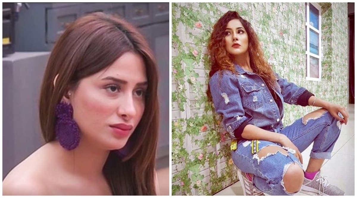 Bigg Boss 13 Day 63 Preview Mahira Sharma and Shehnaaz Gill Boss