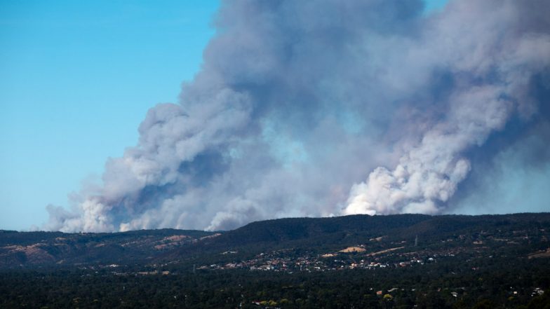 Sydney's Drinking Water Supply Under Threat From Bushfires
