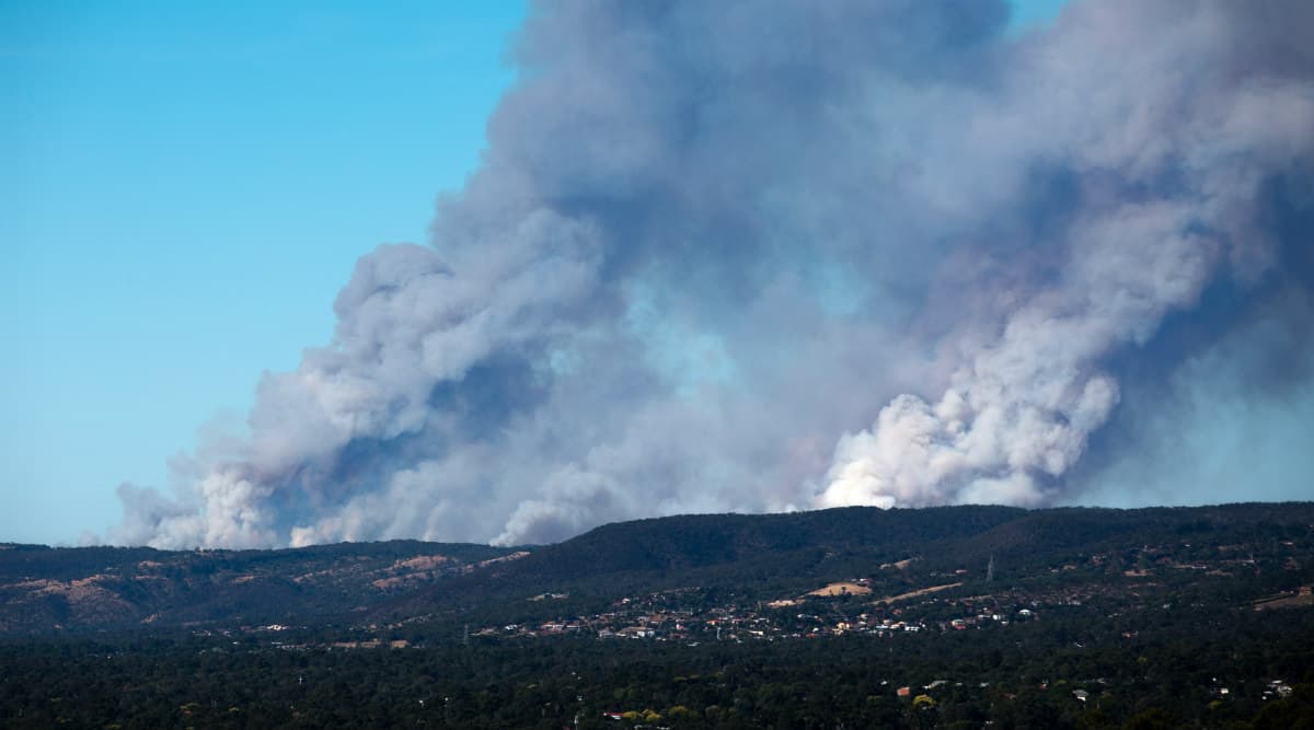 Sydney's Drinking Water Supply Under Threat From Bushfires Sydney's Drinking Water Supply Under Threat From Bushfires