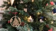 Cats vs Christmas Trees: 7 Videos That Show The Annual Fight Between Your Feline And The Festive Tree