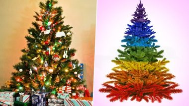 Christmas 2019: Xmas Tree Traditions Across Countries That Portray Various Traditions And Customs