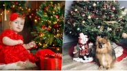 How to Keep Your Christmas Tree Safe From Kids and Pets: Ways to Baby-Proof and Make a Pet-Friendly Christmas Decor