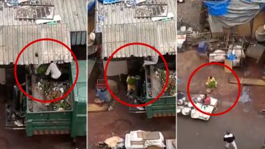 Mumbai: Viral Video Shows Vegetable Removed From Garbage Vehicle Apparently Being Kept For Sale, Uploaders Claim Footage is of Colaba