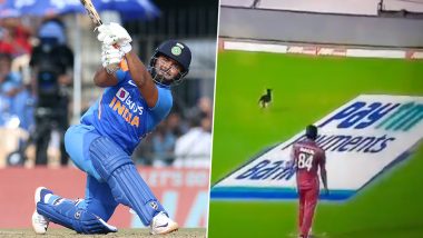 India vs West Indies 1st ODI 2019: Dog Comes Out of Nowhere to Interrupt the IND vs WI Cricket Match (Watch Video)
