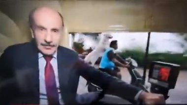 Dog Riding Pillion Photobombs BBC Reporter in India, Hilarious Video Goes Viral