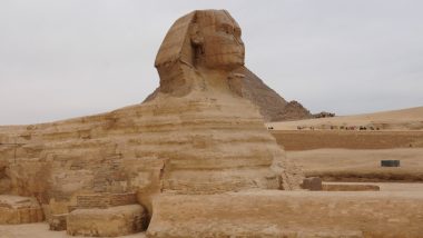 Egypt Reveals 59 Ancient Coffins After More than 2,600 Years Near Saqqara Pyramids