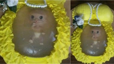 Baby Shower Cake With a Doll Portraying Unborn Child Disgusts The Internet (See Pic)