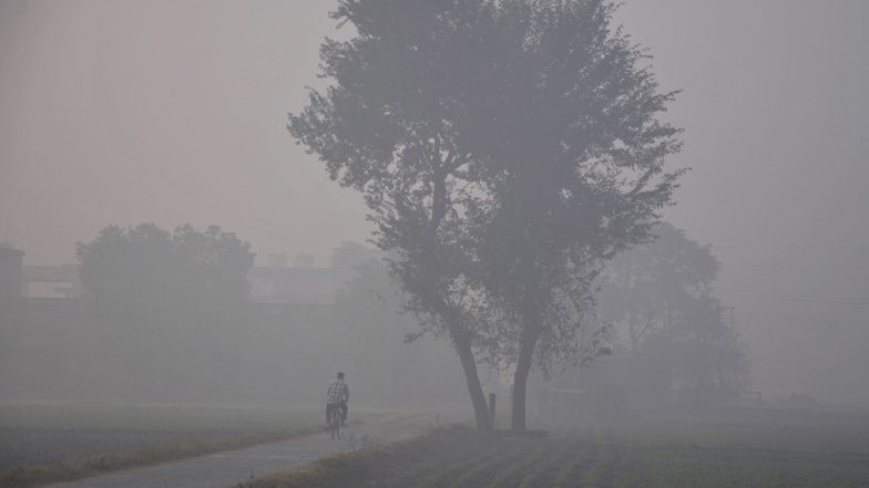 Winter 2019: Unabated Cold Wave Grips Northern India