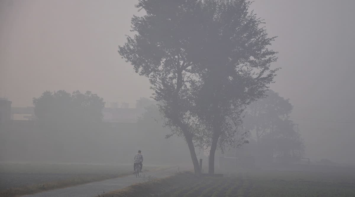 Weather Forecast: IMD Predicts Cold Wave in Parts of Jharkhand, Odisha Weather Forecast: IMD Predicts Cold Wave in Parts of Jharkhand, Odisha