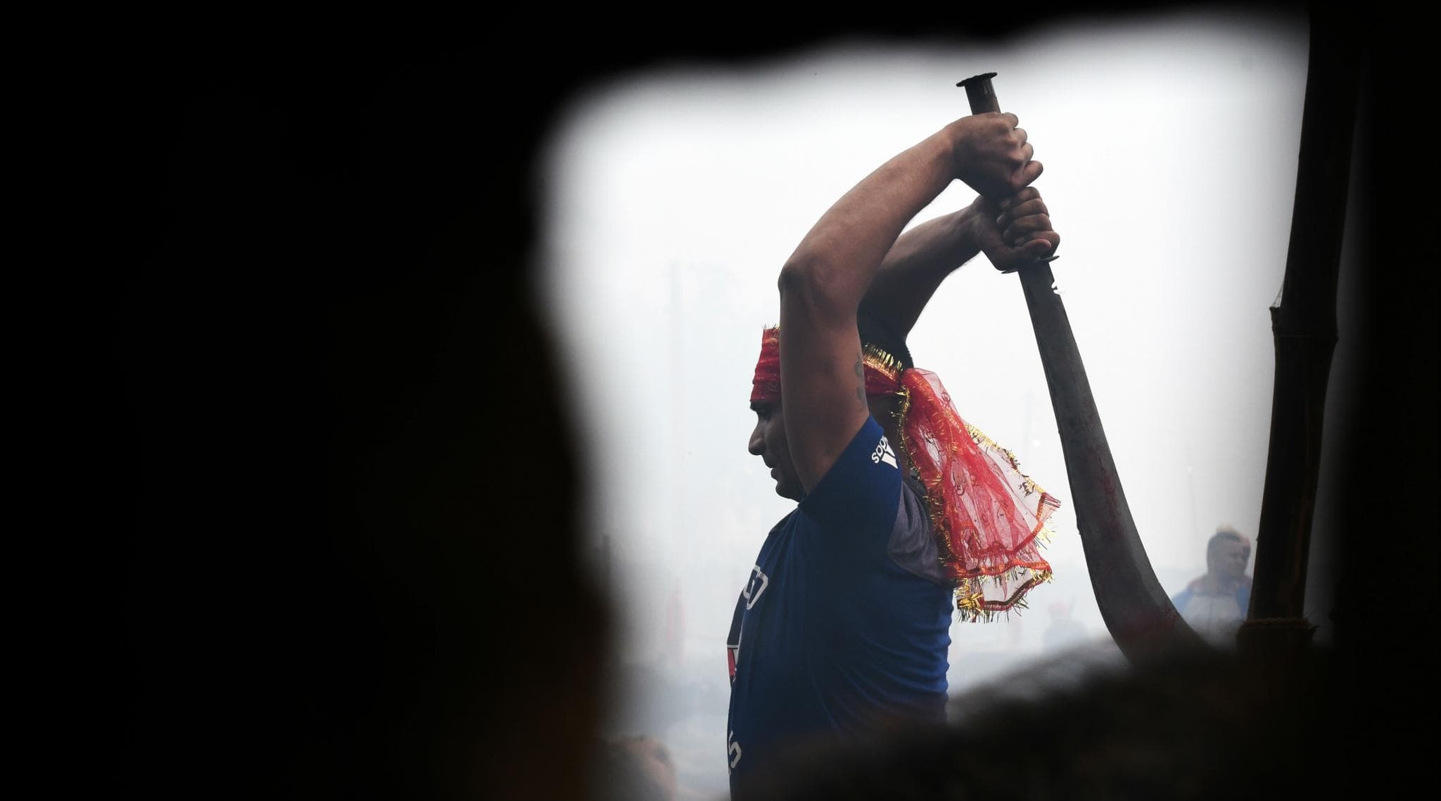 Gadhimai Festival 2019: Nepal's Mass Animal Slaughter Begins Despite Outcry Gadhimai Festival 2019: Nepal's Mass Animal Slaughter Begins Despite Outcry