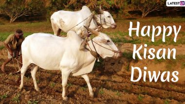 Kisan Diwas 2020 HD Images, Wishes & Quotes: Send Happy National Farmers' Day Messages, WhatsApp Messages, Kisan Pics & Greetings to Celebrate Chaudhary Charan Singh's Birth Anniversary