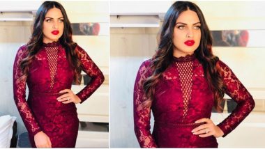 Bigg Boss 13: Was Himanshi Khurana's Eviction Pre-Planned? (View Pic)