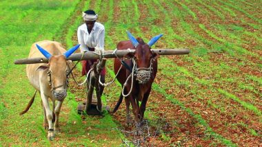 Farmers Received Rs 17,986 Crore From Dept of Agriculture Since March 24, Says Union Minister Narendra Tomar