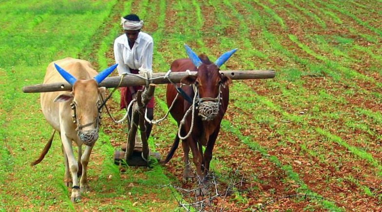 Farmers Received Rs 17,986 Crore From Dept of Agriculture Since March 24, Says Narendra Tomar