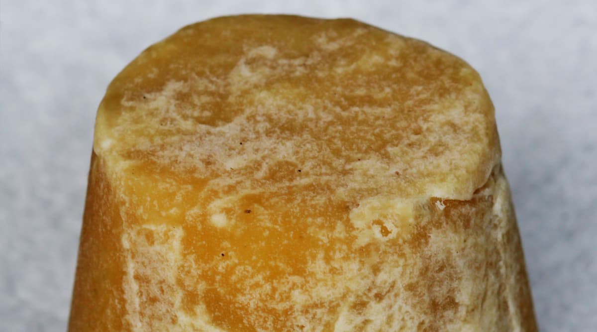 Jaggery or Gur For Winter Season: How Gur Can Boost Your Immunity in Cold Weather Jaggery or Gur For Winter Season: How Gur Can Boost Your Immunity in Cold Weather