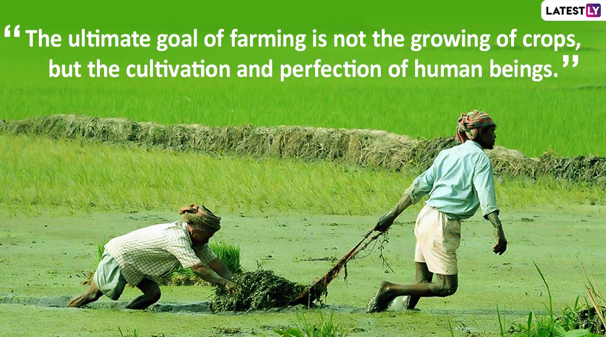 25++ Inspirational Quotes Of Farmers Best Quote HD