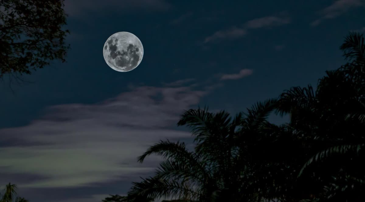 Long Night Moon 2019: What is a Long Night Moon?, What is the Cold moon? Top Queries on Cold Moon Answered Long Night Moon 2019: What is a Long Night Moon?, What is the Cold moon? Top Queries on Cold Moon Answered
