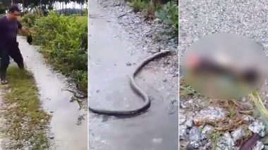 Malaysian Man Chops Head of a Cobra Snake With a Sickle and Posts Video Online (Watch Video, Viewer Discretion Advised)