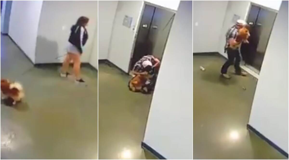 Man Saves Neighbour's Pet Dog After Its Leash Gets Caught in Elevator Doors, Dramatic Rescue Video Goes Viral Man Saves Neighbour's Pet Dog After Its Leash Gets Caught in Elevator Doors, Dramatic Rescue Video Goes Viral