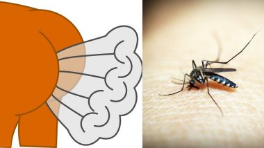 Ugandan Man's Farts Can Kill Mosquitoes 6 Miles Away, Hopes to Get Hired by Insect Repellent Company (Watch Video)
