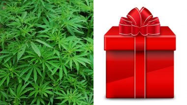 Man Passes Off 80 Pounds Marijuana as Christmas Gift, Gets Caught And Jailed at Nashville Airport