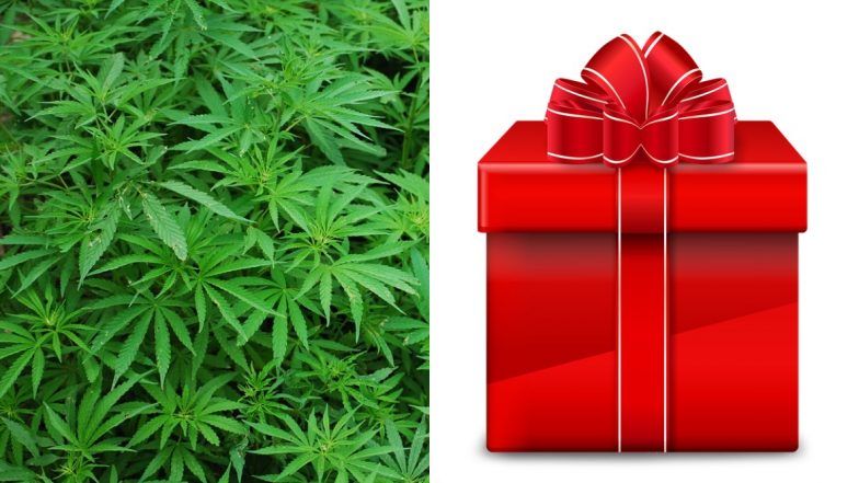 Man Passes Off 80 Pounds Marijuana as Christmas Gift, Gets Caught And Jailed at Nashville Airport