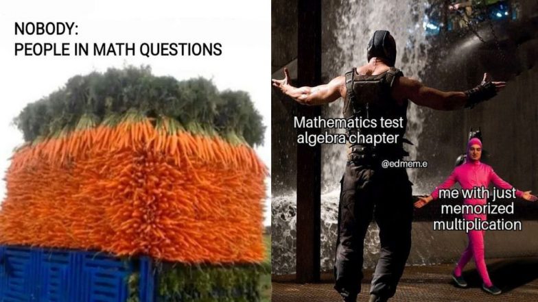 National Mathematics Day 2019: Funny Maths Memes and Jokes That Will Cry And Laugh At The Same Time