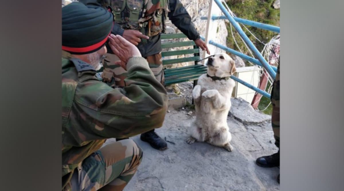 Dog 'Menaka' Saluting Army Commander Lt Gen KJS Dhillon Sets Social Media Abuzz, Here's The Story Behind Viral Picture Dog 'Menaka' Saluting Army Commander Lt Gen KJS Dhillon Sets Social Media Abuzz, Here's The Story Behind Viral Picture