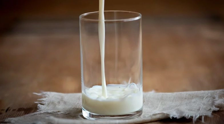 Does Drinking Milk Everyday Cause Weight Gain?