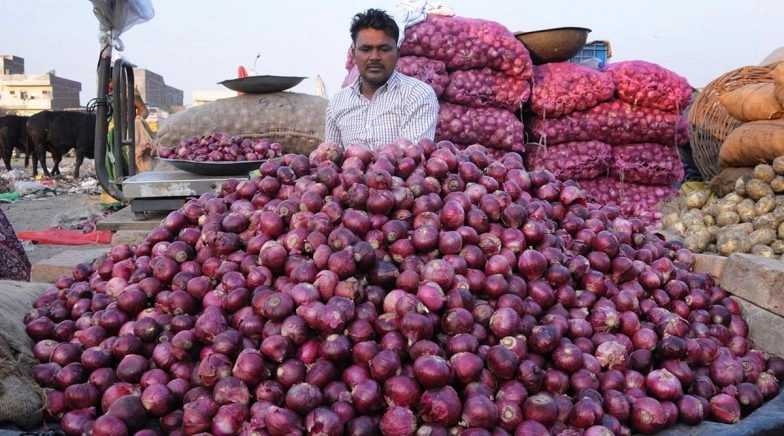 Onion Seeds' Export Banned With Immediate Effect, Says Government