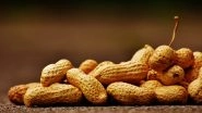 Moongphali Is A Favourite Winter Time-Pass Snack! Here's Why You Should Eat Peanuts in Winter