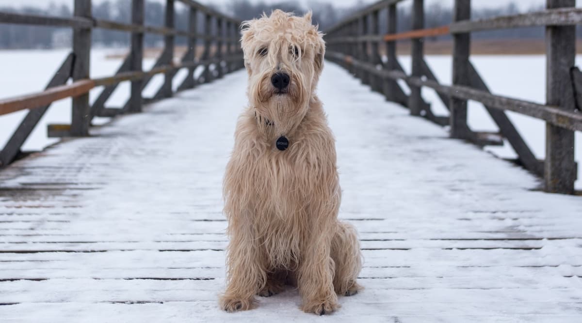 Cold Temperatures Getting You Down? Here's How to Combat Seasonal Affective Disorder and Boost Your Energy and Mood This Winter Cold Temperatures Getting You Down? Here's How to Combat Seasonal Affective Disorder and Boost Your Energy and Mood This Winter