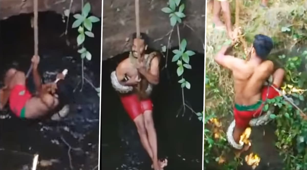 Kerala Man Rescues Long Python Snake From a Well, Daring Act Goes Viral Kerala Man Rescues Long Python Snake From a Well, Daring Act Goes Viral