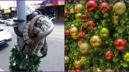 Group of Deadly Snakes Wrapped Around Christmas Tree on Australian Street, Scary Pic Goes Viral