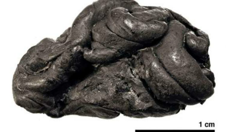 5700-Year-Old Chewing Gum Helps to Create Image of Girl Who Consumed it in Stone Age