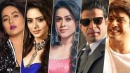 Year Ender 2019: From Hina Khan, Aamna Sharif, Nia Sharma to Karan Patel, Sidharth Shukla, Meet the Biggest Newsmakers From the World of TV!
