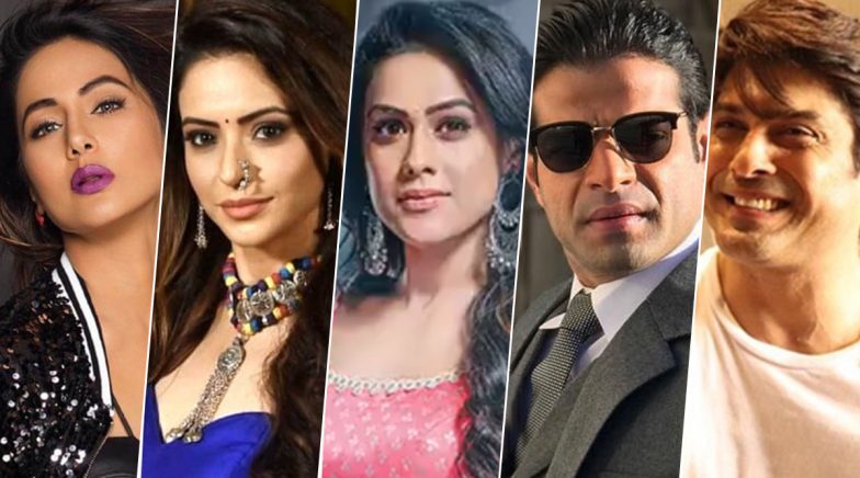 Hina Khan Xxx - Year Ender 2019: From Hina Khan, Aamna Sharif, Nia Sharma to Karan Patel,  Sidharth Shukla, Meet the Biggest Newsmakers From the World of TV! |  LatestLY