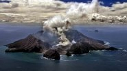 Volcano Erupted on New Zealand's White Island, Tourists Injured