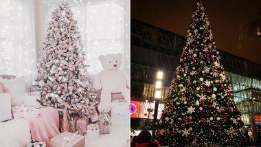 Tis the Season! Mesmerising Christmas Tree Pics That Will Get You Ready For Happy Holidays